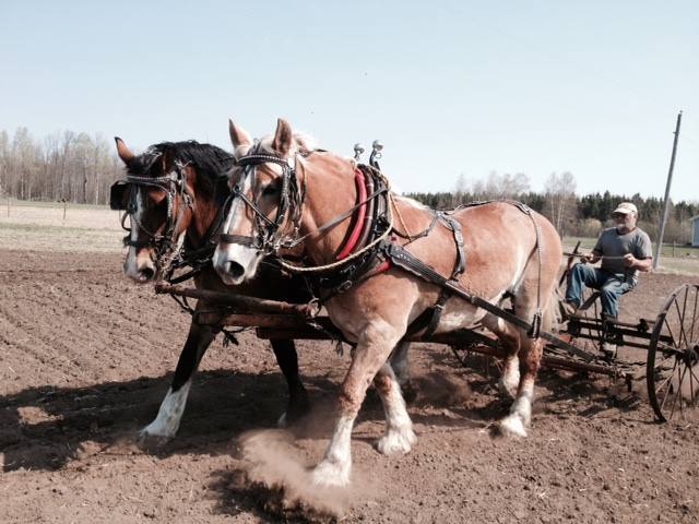 96th Annual Grenville County Plowing Match October 9th and 10th