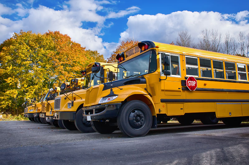 School bus safety