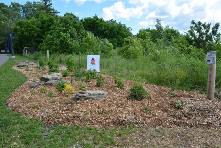 Pollinator garden Brock Trail