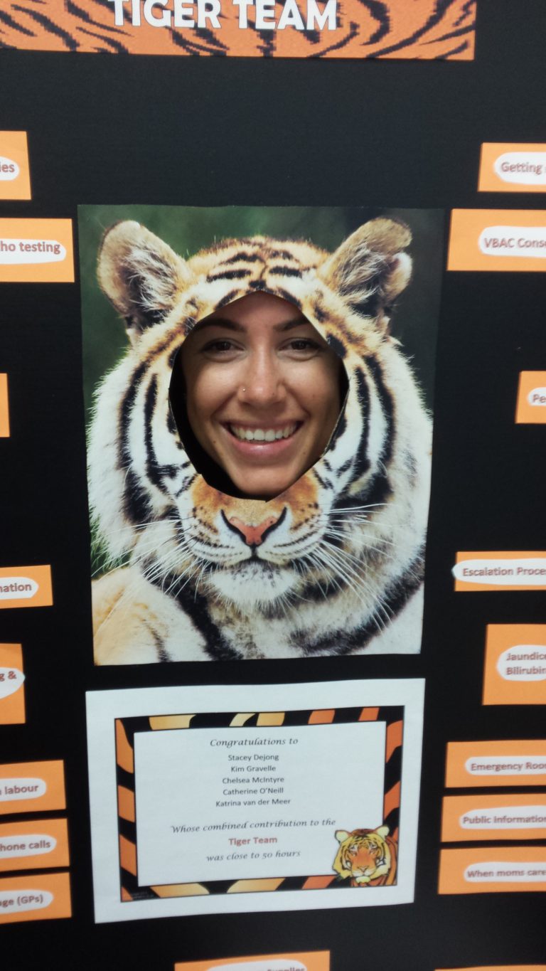 Winchester District Memorial Hospital’s Tiger Team