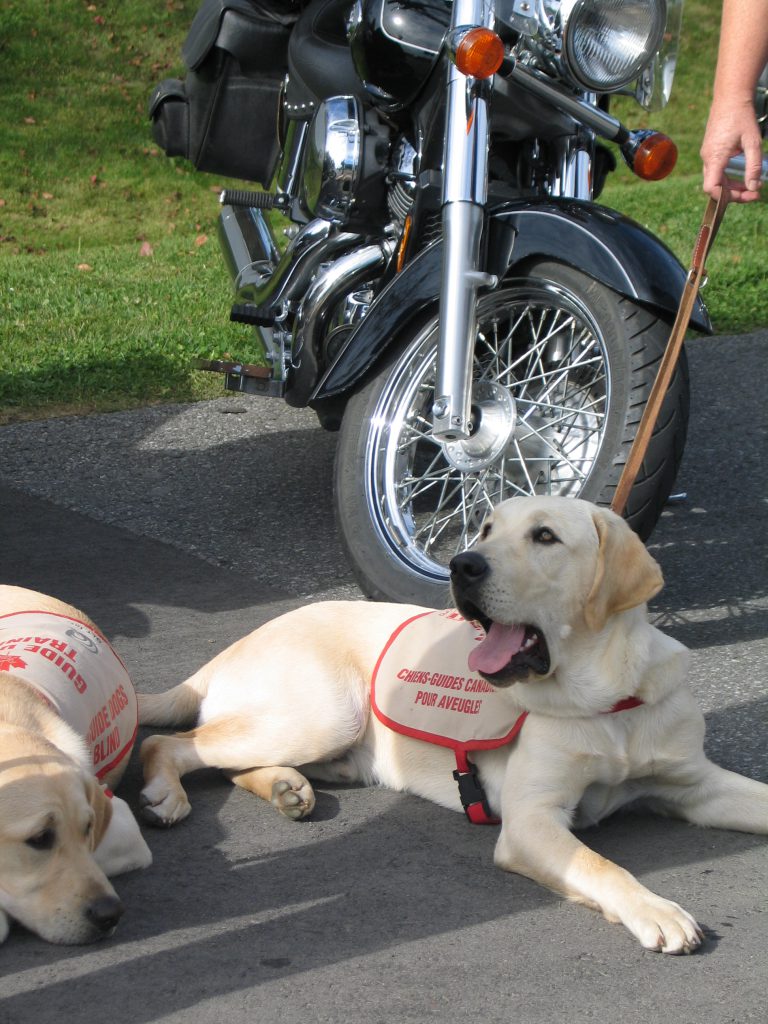Guide Dog Ride set for next month