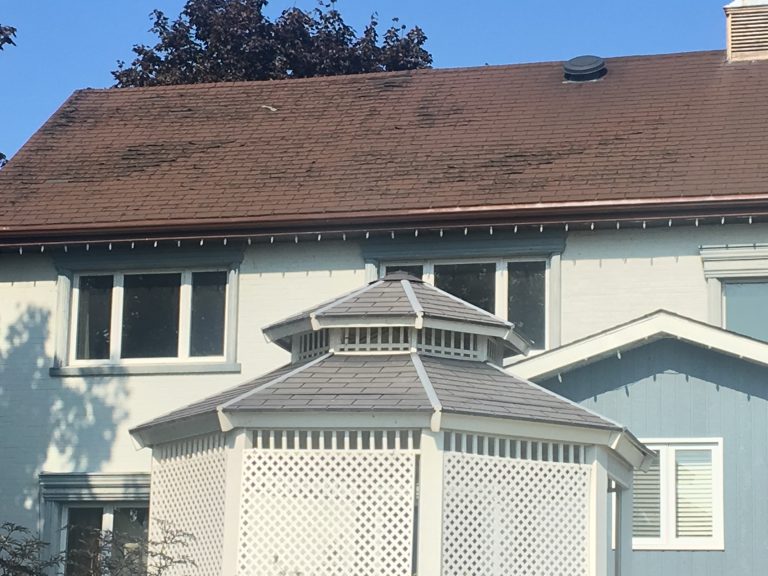 Walker House Repairs are go