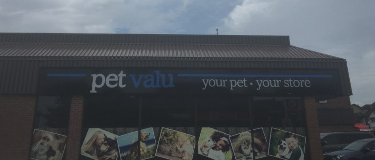 Pet Valu Will Hold All Paws Matter Dog Rescue Adoption Event