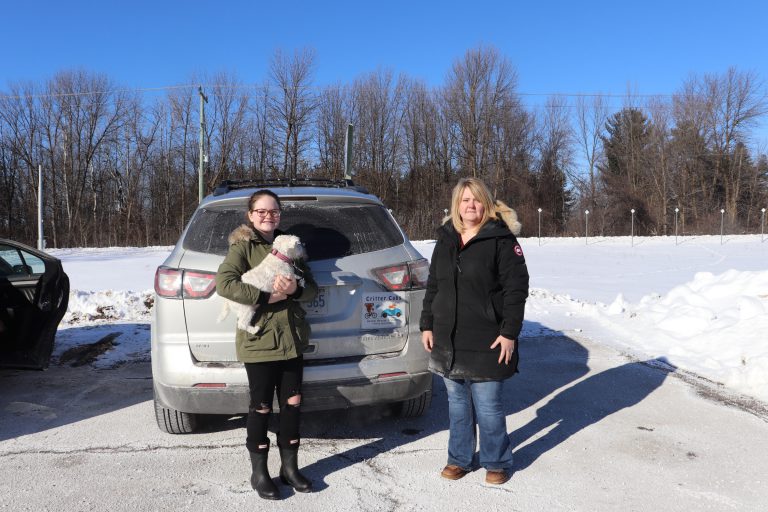 Critter Cabs looking for volunteers
