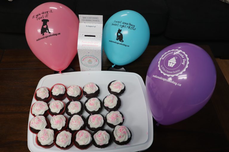 Cupcake Campaign Raises Over $8,500 so Far for Local OSPCA