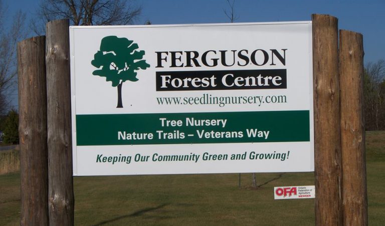 Ferguson Forest Beginners Day planned for later this month