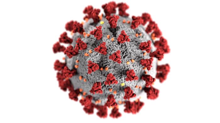 9 news cases of COVID-19 in the region