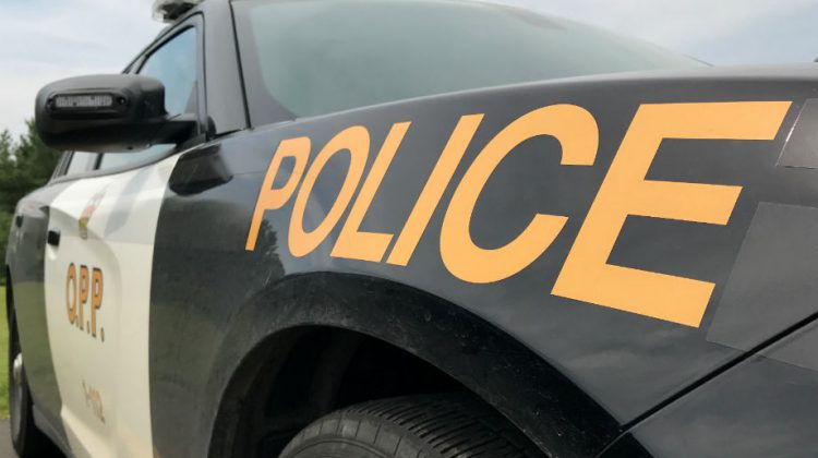 Woman dies in Hwy. 401 crash