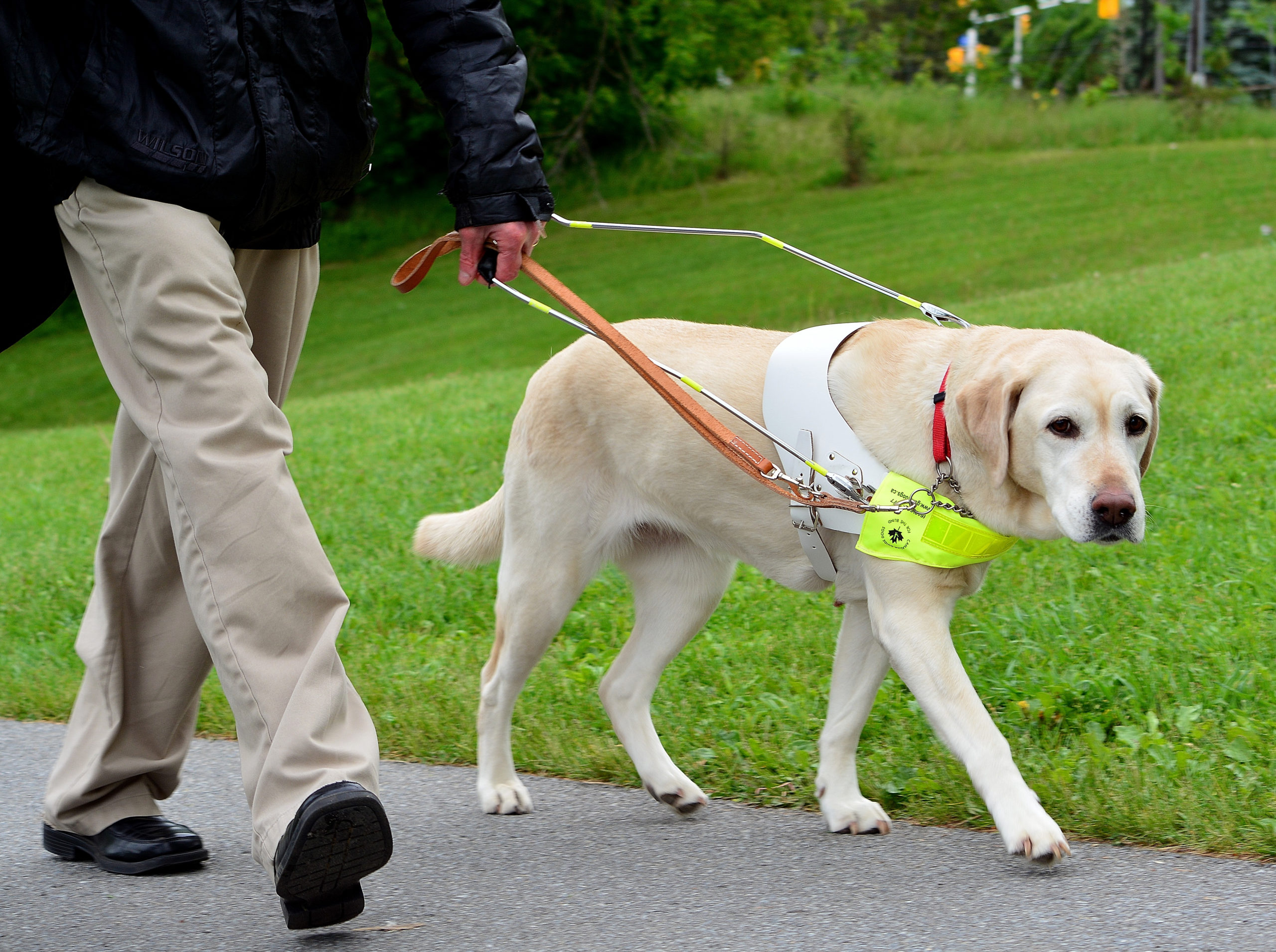 September Motorcycle Ride To Raise Money For Canadian Guide Dogs For 