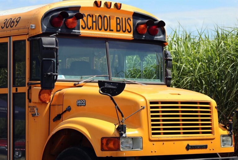 OPP reminding public of school bus road safety guidelines