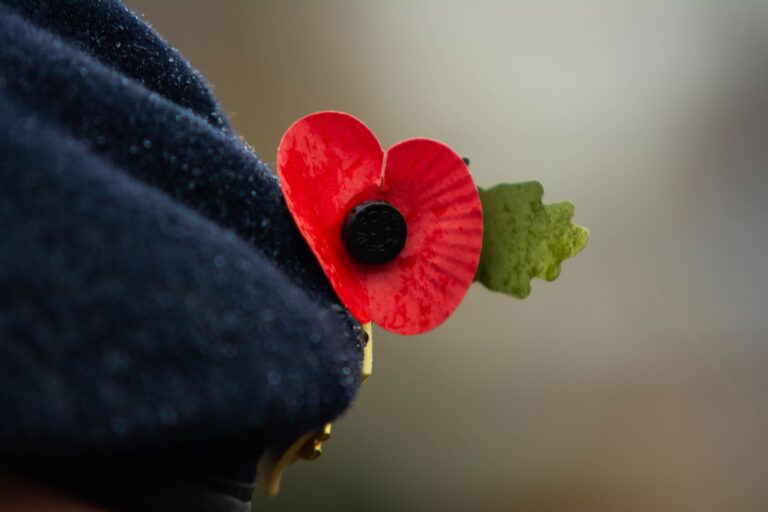 Mayfield Retirement Residence unveiling “Poppy Project” display Remembrance Day