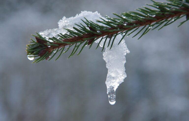 Keep your vents, doors and pipes clear of snow, says Fire Chief