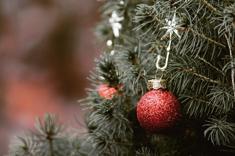 Town of Prescott collecting Christmas trees from residents this week