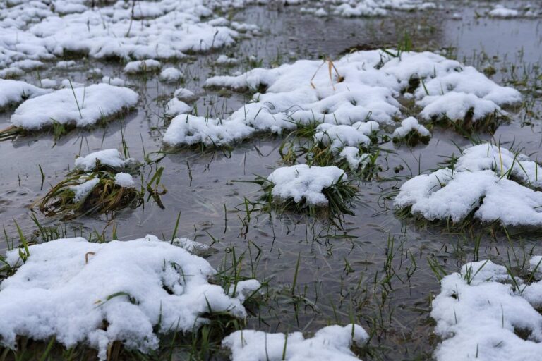 Special weather statement in effect for Brockville-Prescott