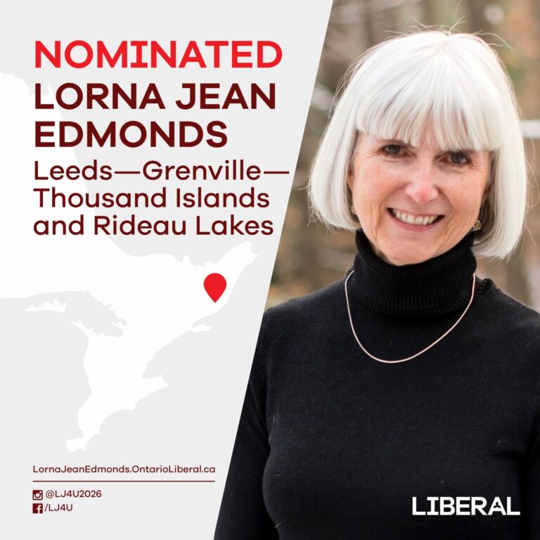 Ontario Election: Liberal candidate says healthcare, affordability, education among top issues