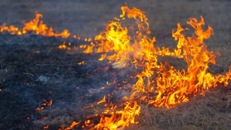 Grass fire season has arrived